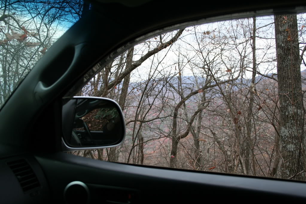 Amicalola_111410010_ffd7017ce570a208d2a0c8d439f4059e30d227e3.jpg