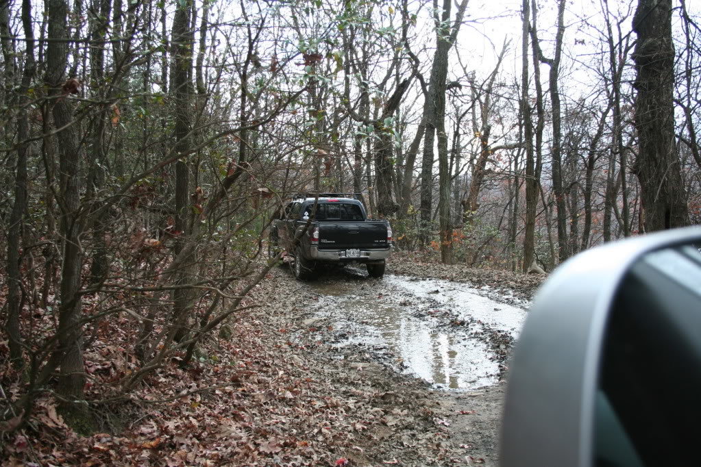 Amicalola_111410012_8f53ba2de7b3e23d299049fa379eec619abc13d2.jpg