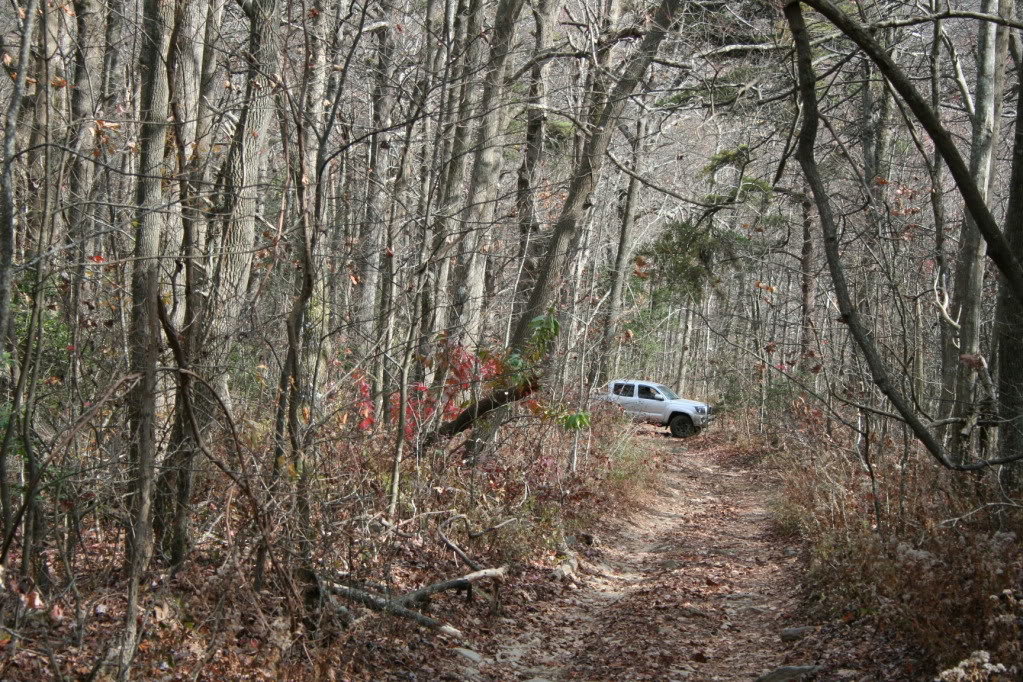 Amicalola_111410028_5c769ffc81df99f2ff87e777a449b2da540cc362.jpg