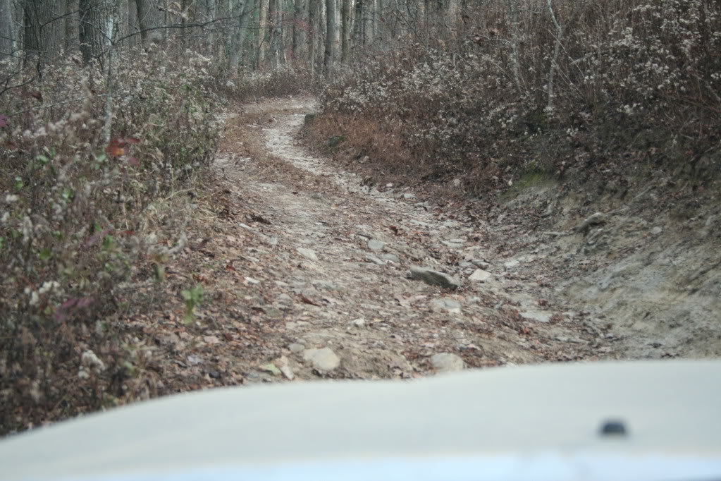 Amicalola_111410031_2ec3b57eea54e3fee6f810f65530a108db6e6f41.jpg