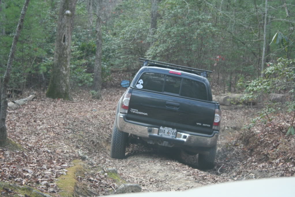 Amicalola_111410038_87a0034fb9b2e0f707bf06ca43efe6d2cb4bea14.jpg
