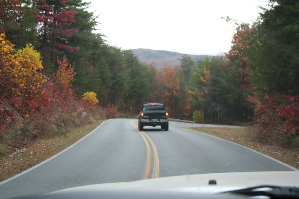 Amicalola_111410041_158e7f84dd29c258bbf7fadce348a89d1a5482e9.jpg