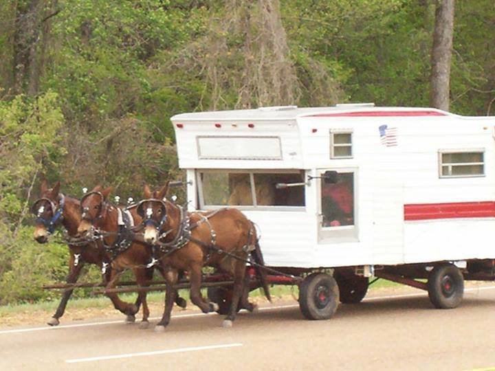 Amish Winnebago.jpg