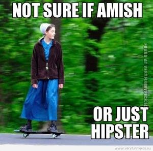amish1.jpg