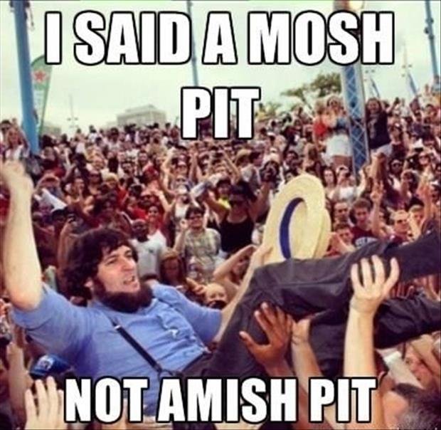 amish2.jpg