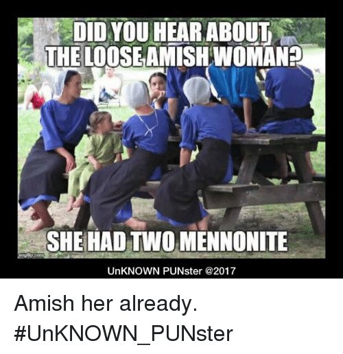 amish8.jpg