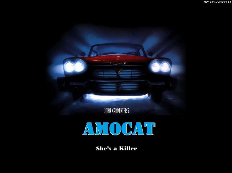 AMOCAT.jpg
