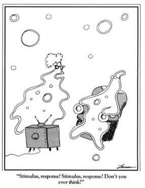 amoeba.jpg