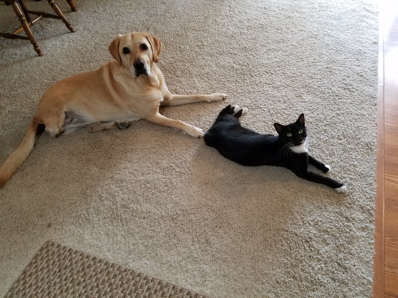 Amy & Delilah 1.jpg