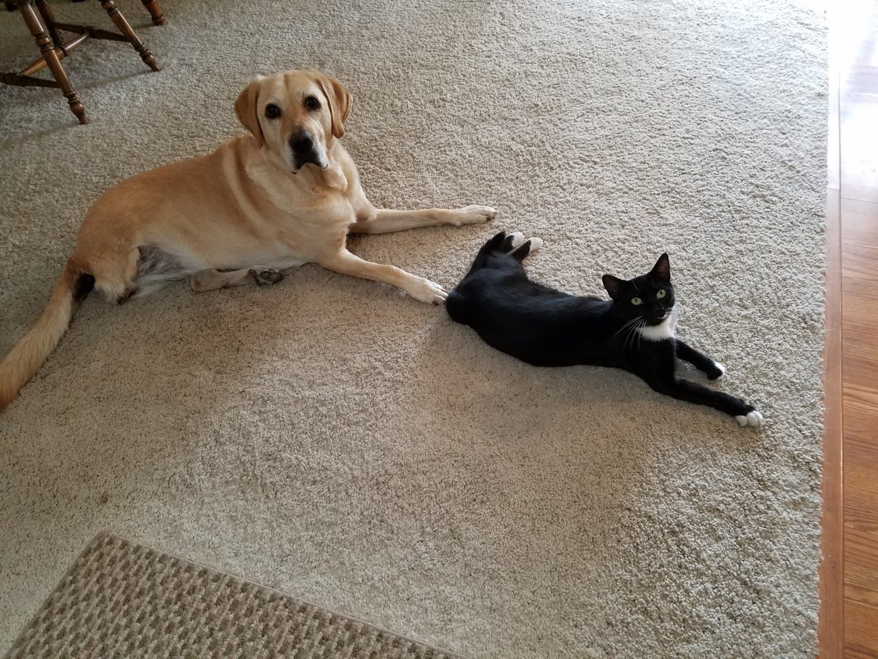 Amy & Delilah.jpg