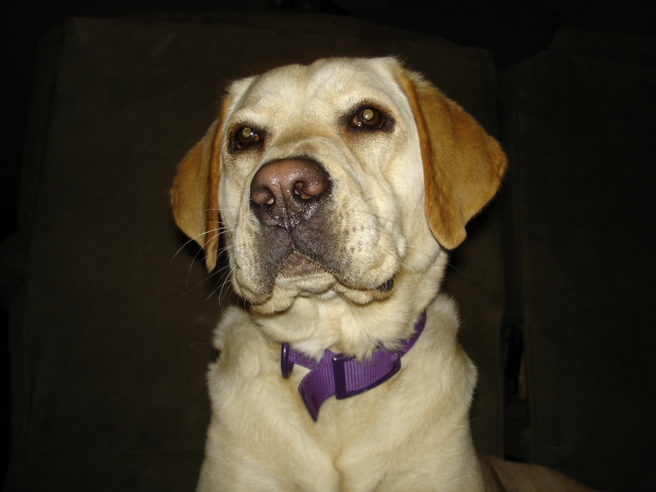 Amy I 3-2009 008.jpg