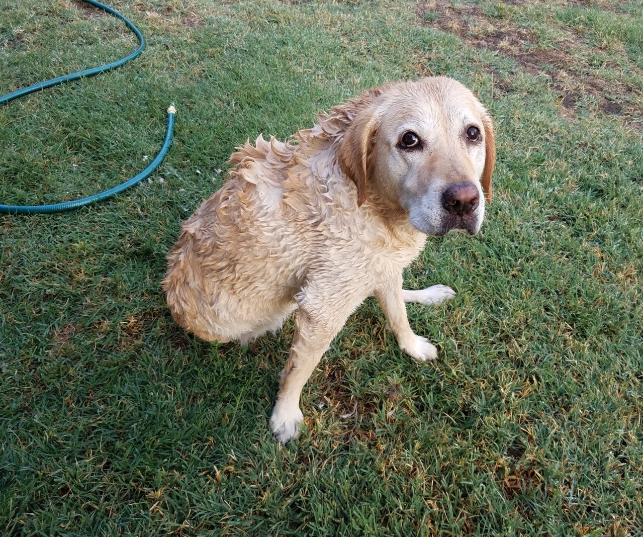 AmySkunkBath1.jpg