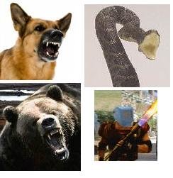 angry1.jpg