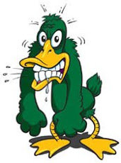 AngryDuck2-1_cec63709f6b7ada482ccbae1a3e3b3627d9dbaed.jpg