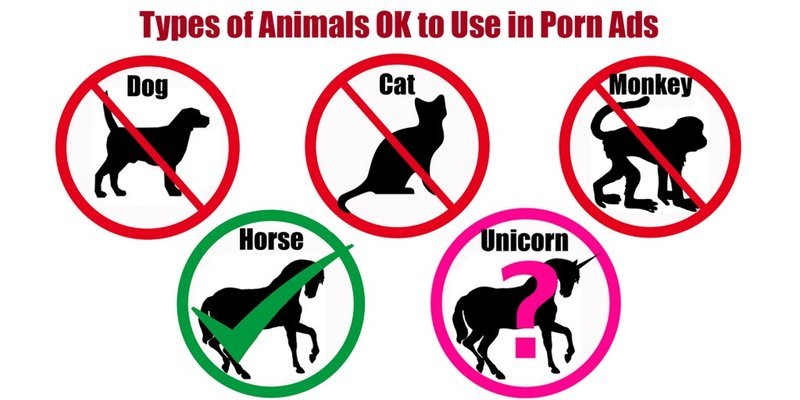 Animals-1-1024x512.jpg