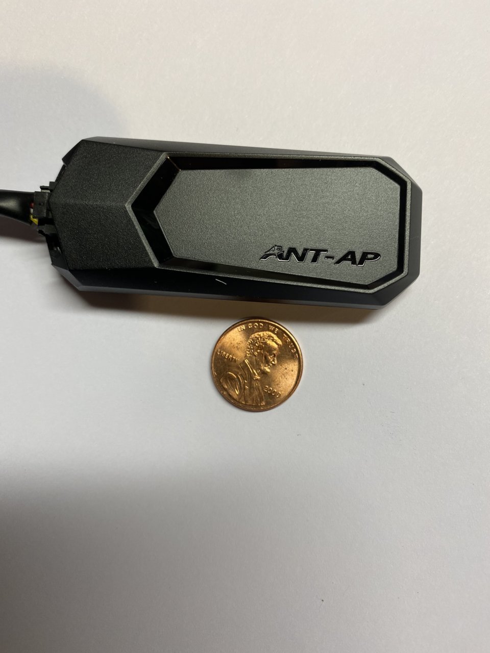 Ant..jpg
