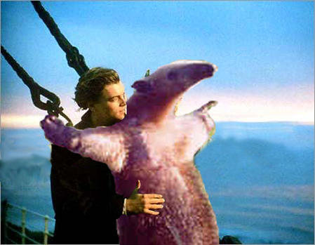 Anteater_Titanic.jpg
