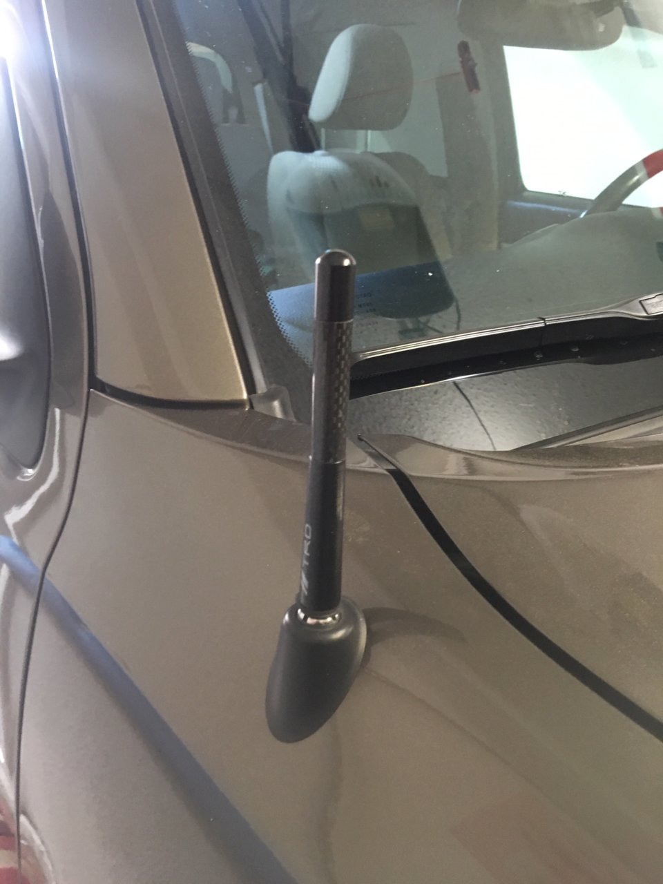 Antenna.jpg
