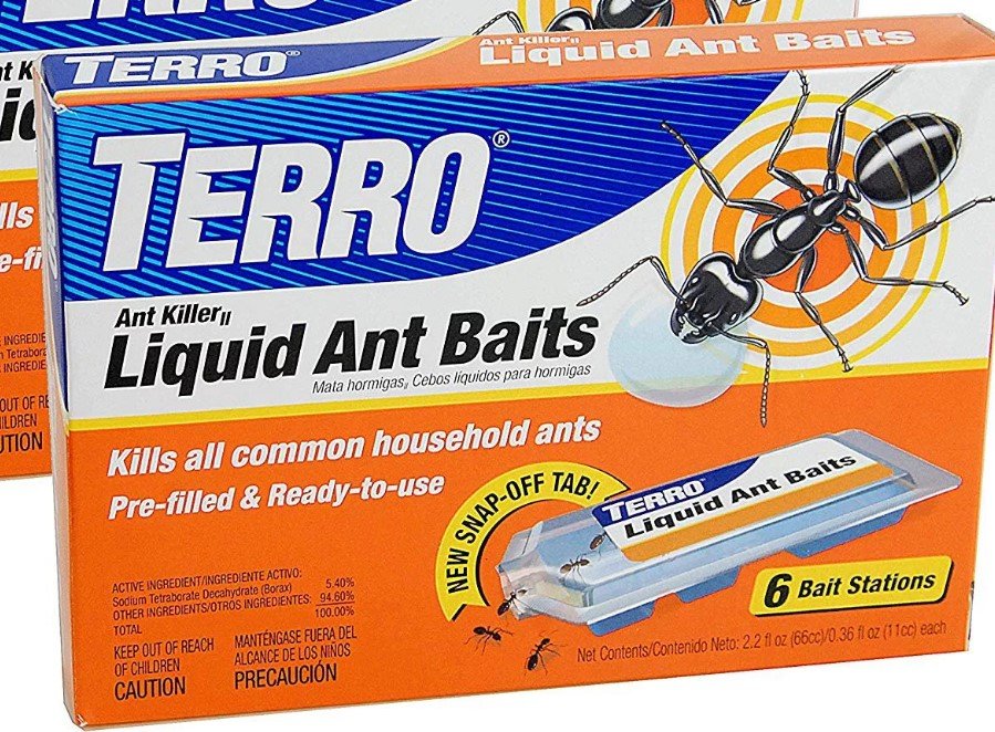 ants.jpg