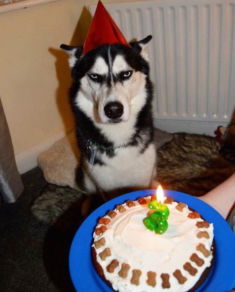 anuko-3rd-birthday.jpg