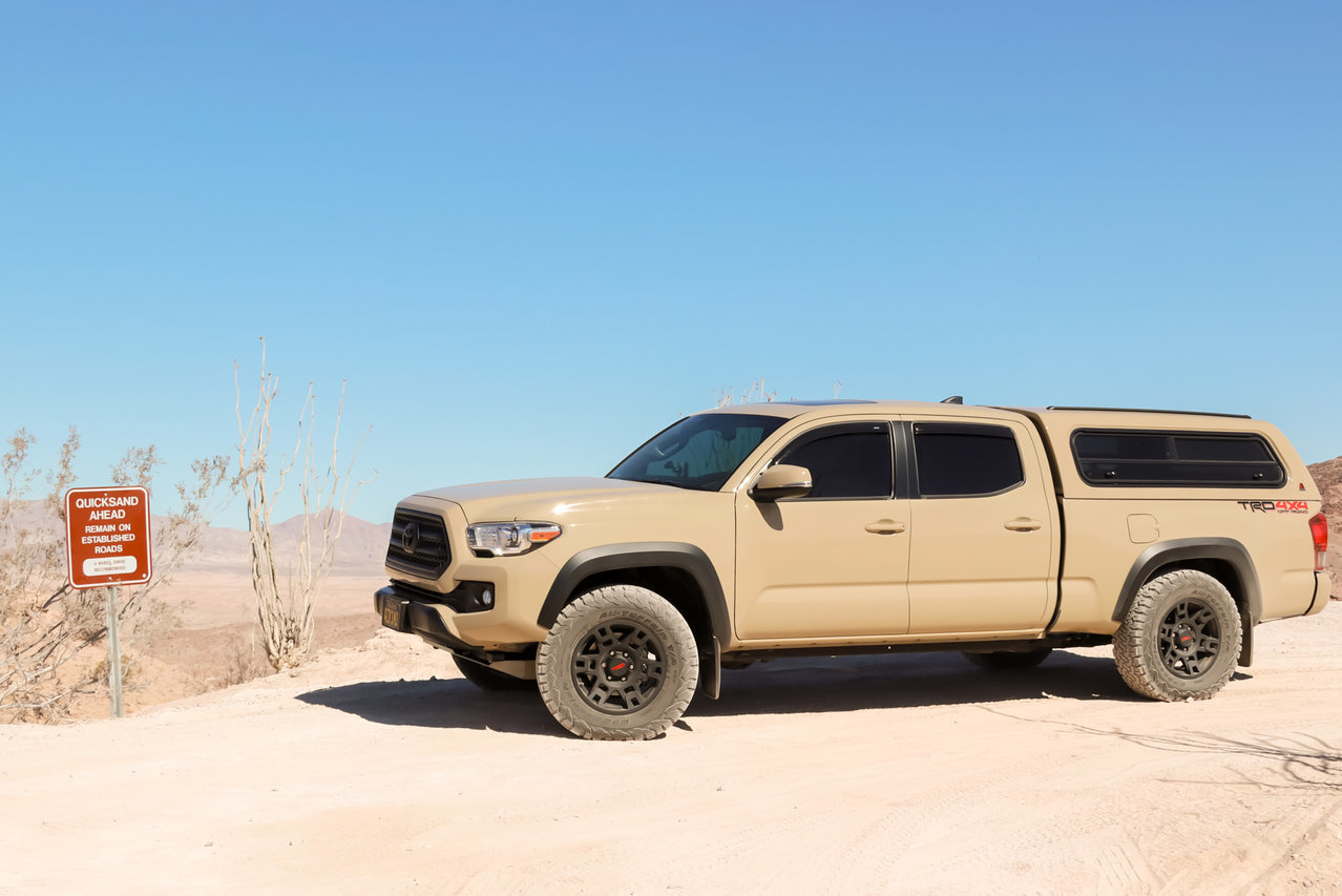 Anza_Borrego_Feb2018-7.jpg