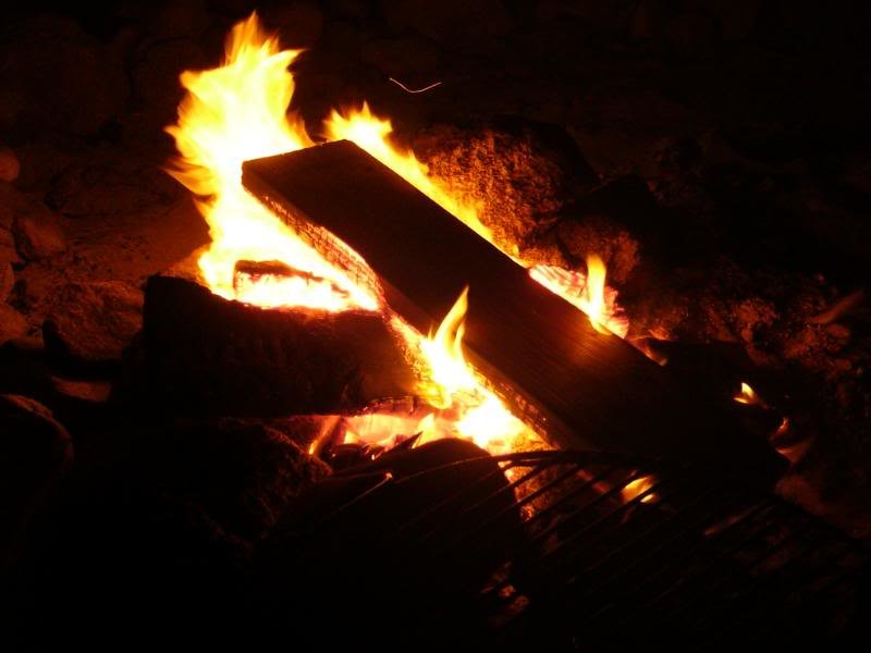 AnzaBorrego004_6cfeecaefce91786e3285f7a8e37404468103c5c.jpg