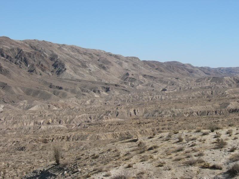 AnzaBorrego052_f4b708d0cbe42f733352aa741de36baa882c5b2c.jpg