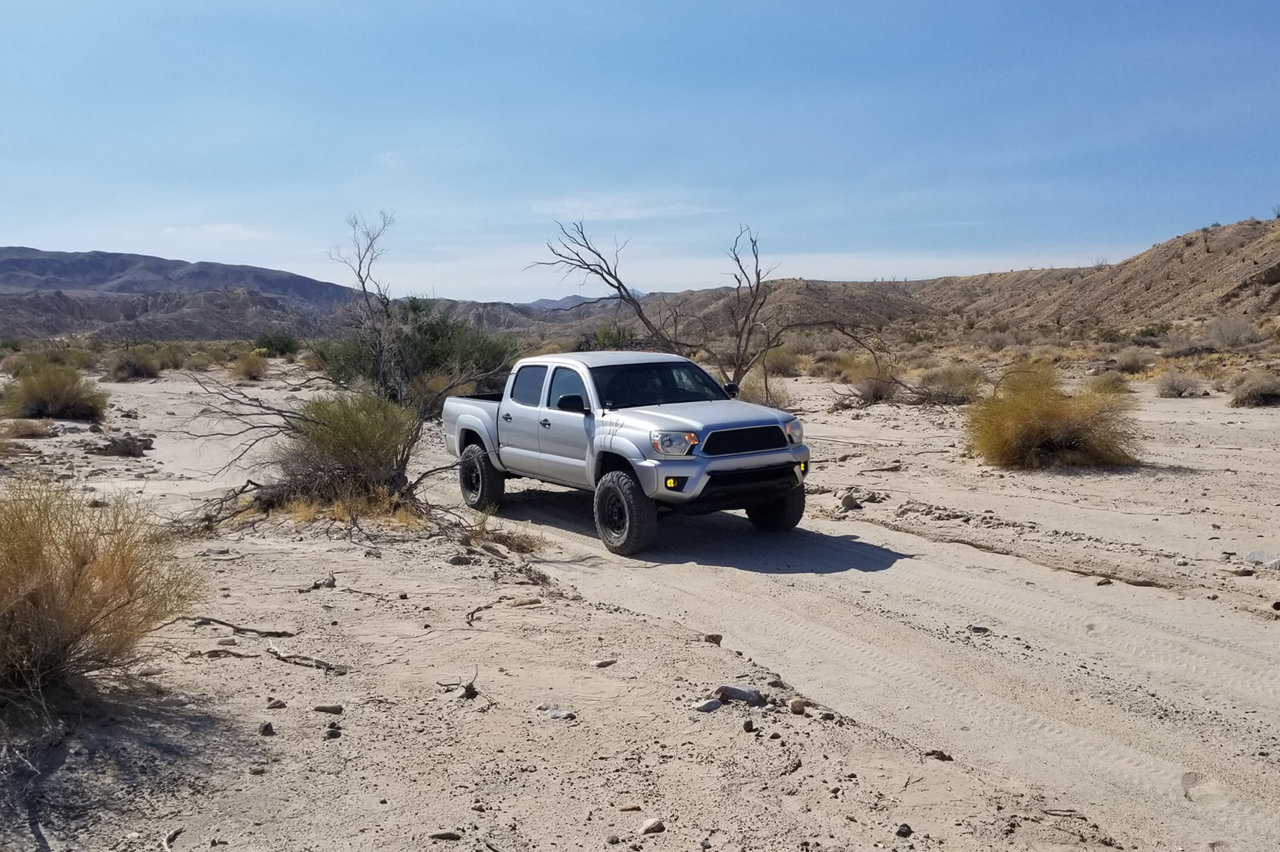 anzaborrego_2020_03.jpg