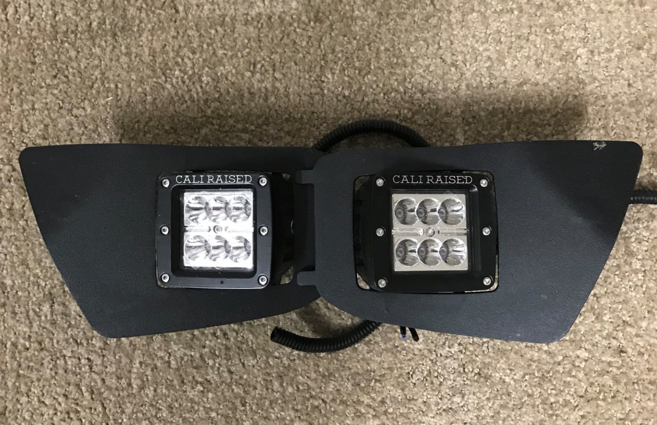 Apex Fogs.jpg