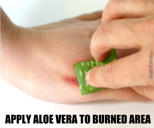 apply-aloe-vera-to-burned-area_o_6278141.jpg