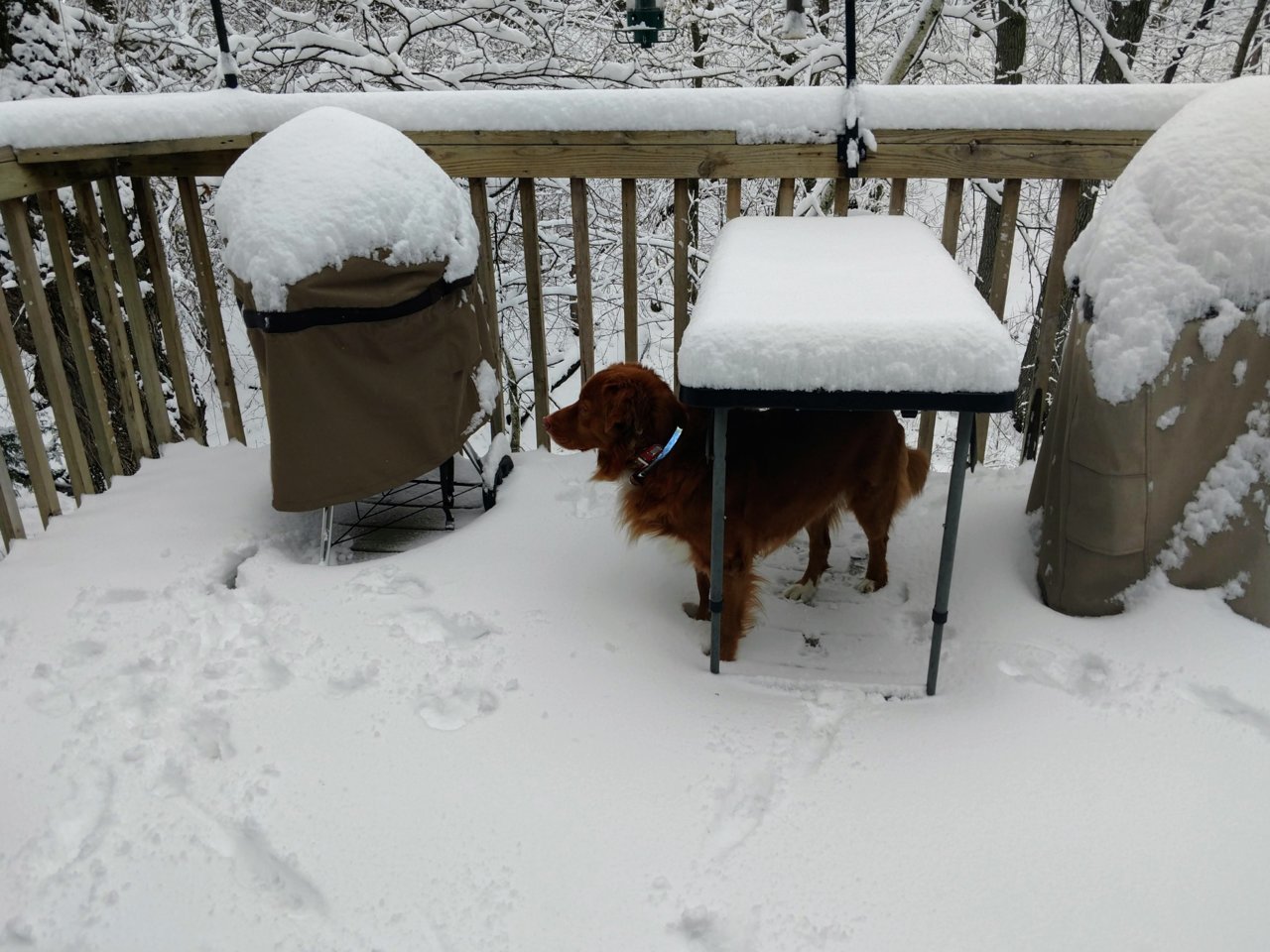 April 10 snow.jpg