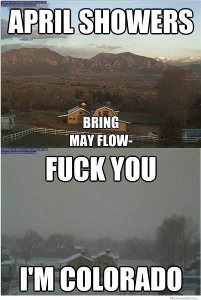 april-showers-bring-may-flowers.jpg