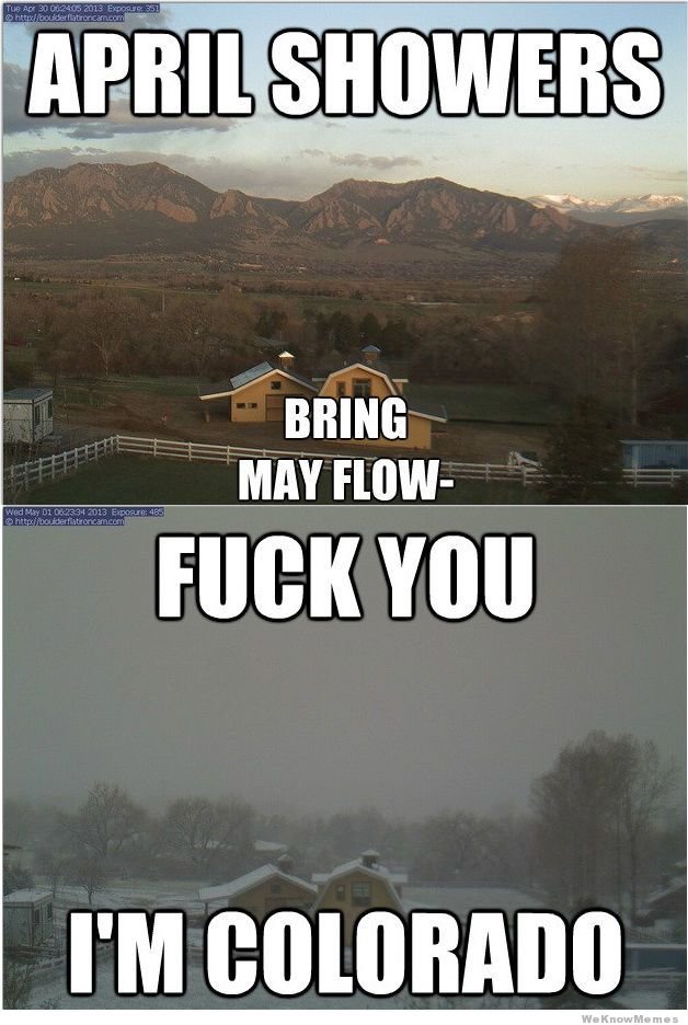 april-showers-bring-may-flowers.jpg