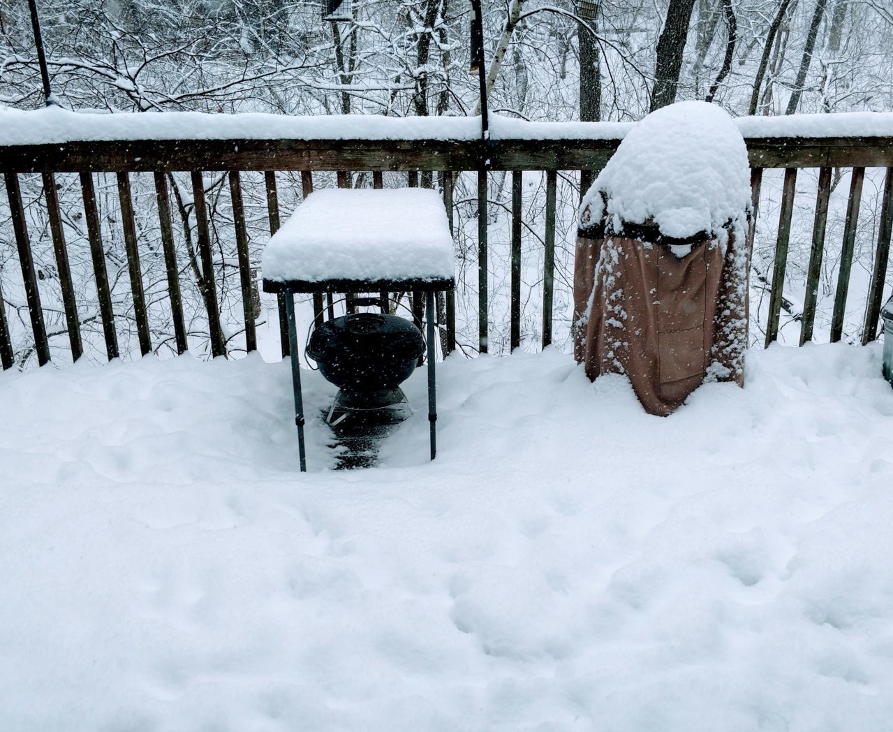 April3Snow.jpg