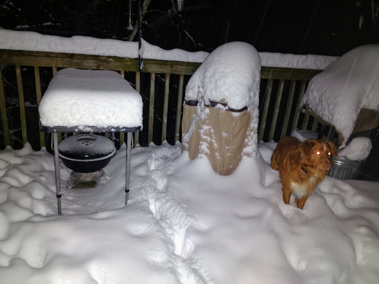 April3SnowNight.jpg
