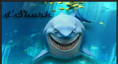 aquarium-shark.jpg