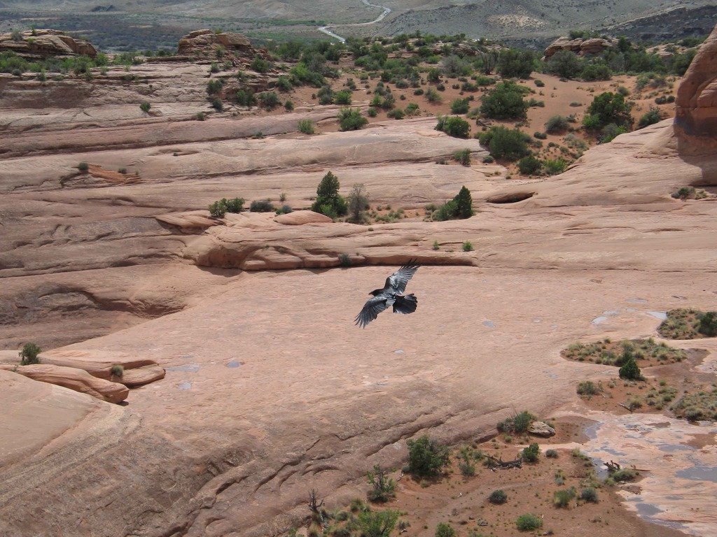 Arches%20National%20Park%20Utah%20-%20My_5d0760f468f90dd48038ea8a3dcc304144bd689d.jpg