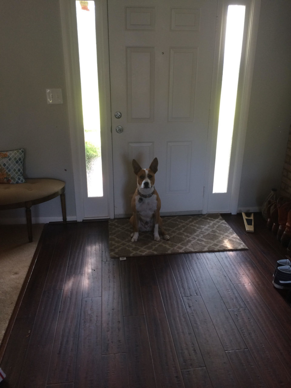 Archie2.jpg