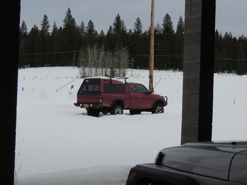 Arctic Taco cooling it's heel on the farm 2017.jpg