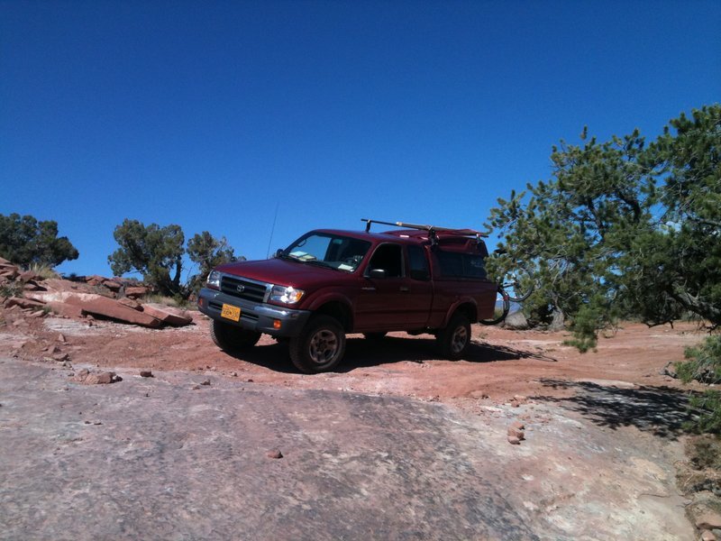 Arctic Taco the Wanderer 2012.jpg