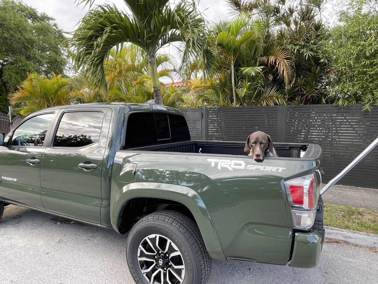 Army Green Taco Pic.jpg