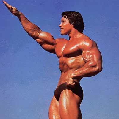 arnold-schwarzenegger_99ed9fc3a64be40a5d00c065c7691a5702128b6d.jpg