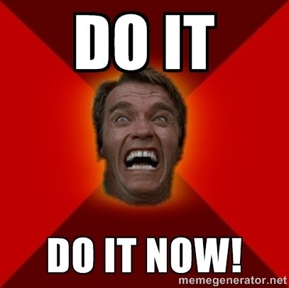 arnold_schwarzenegger_do_it_now_meme_by_therealmdgaming-d8zfbn4.jpg