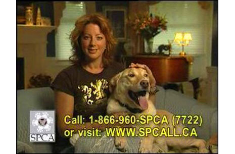 aspca_sarah_mclachlan.jpg