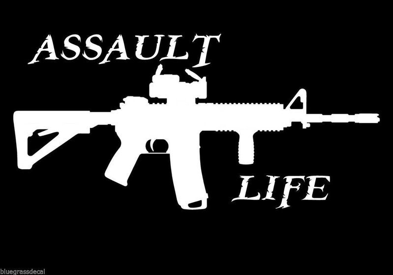 assaultlyfe.jpg