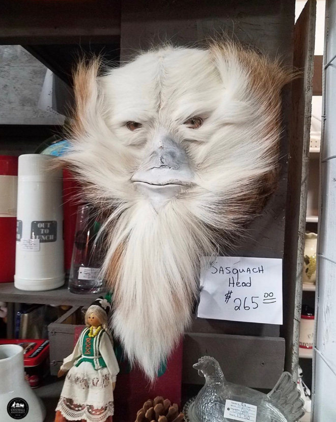 assquatch3.jpg