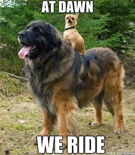 At-Dawn-We-Ride.jpg
