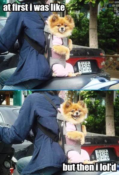 at-first-i-was-like-but-then-i-lold_a3eb0bd9bca3e61ec1d9ce8d642c73c2e36c2118.jpg