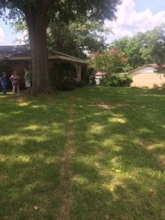 Attach2303_20170720_185641.jpg