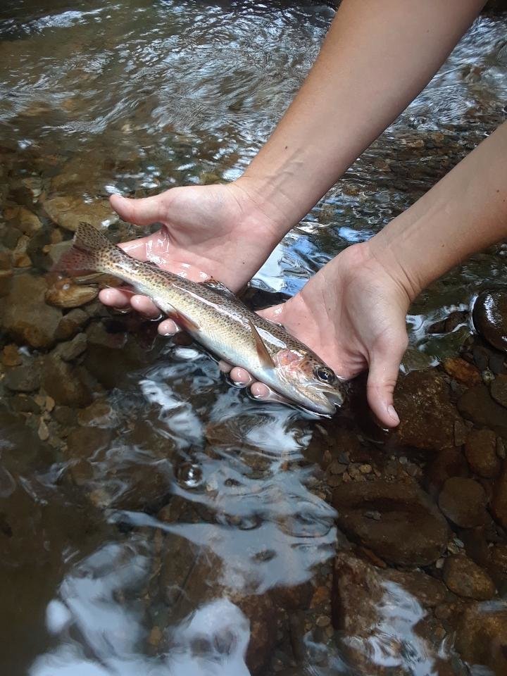 Attach38652_20190902_190217.jpg